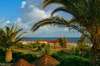 Magic Life Seven Seas Imperial 